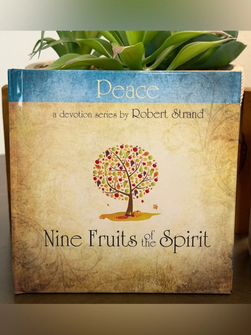 Set of 9 New Fruits Of The Spirit Books